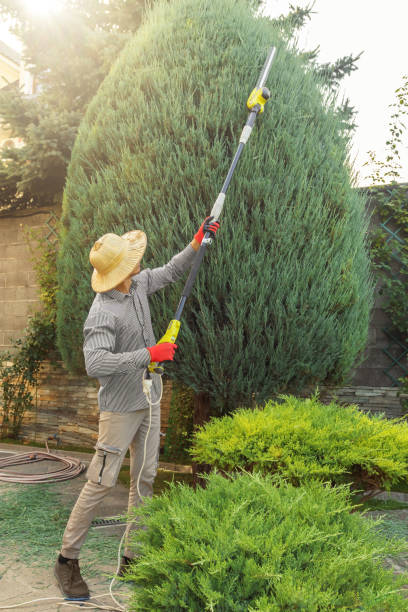 Lawn Pest Prevention in Polk City, IA